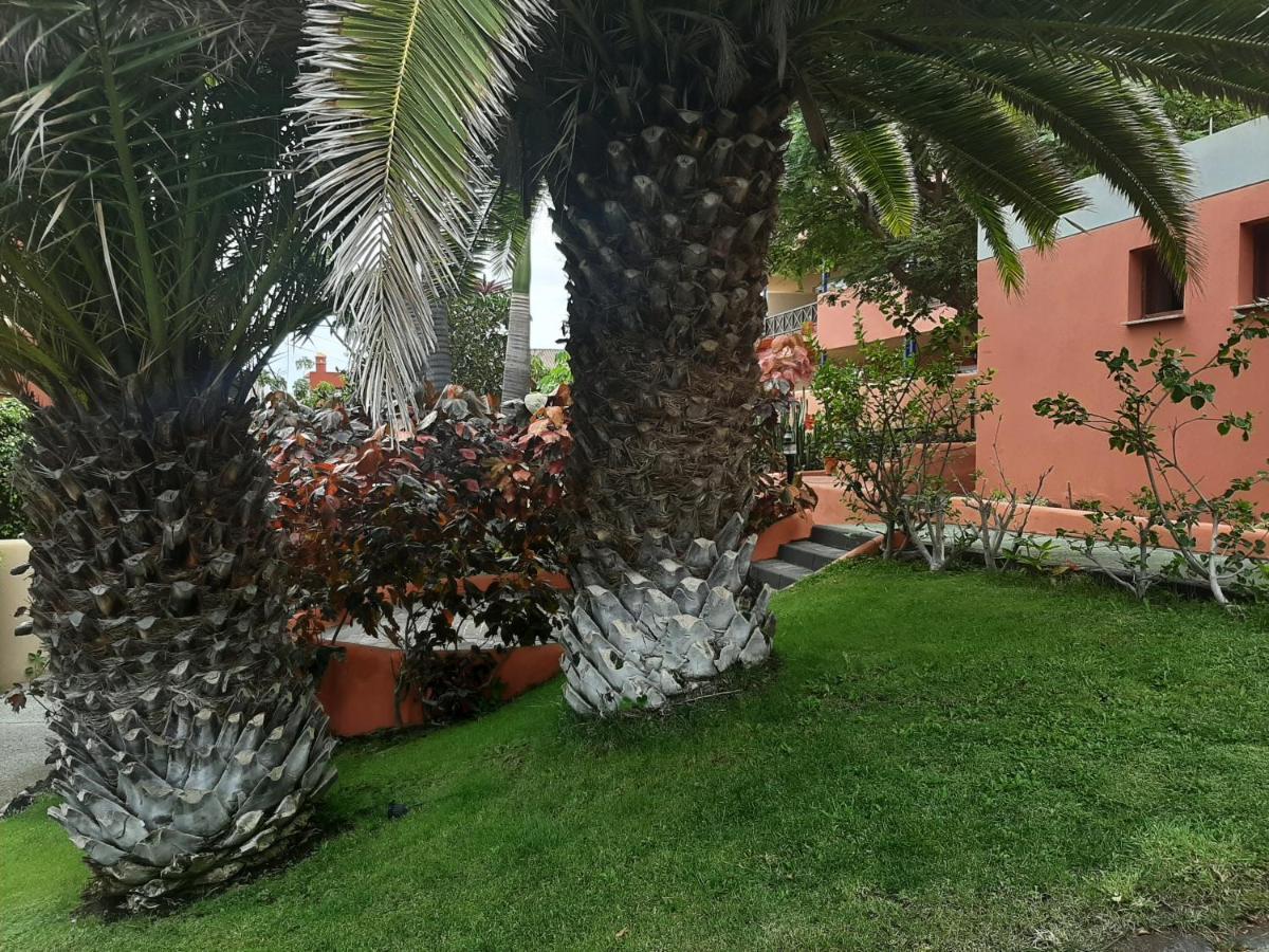 Aparthotel El Cerrito Playa Cancajos.- BreNa Baja  Eksteriør billede