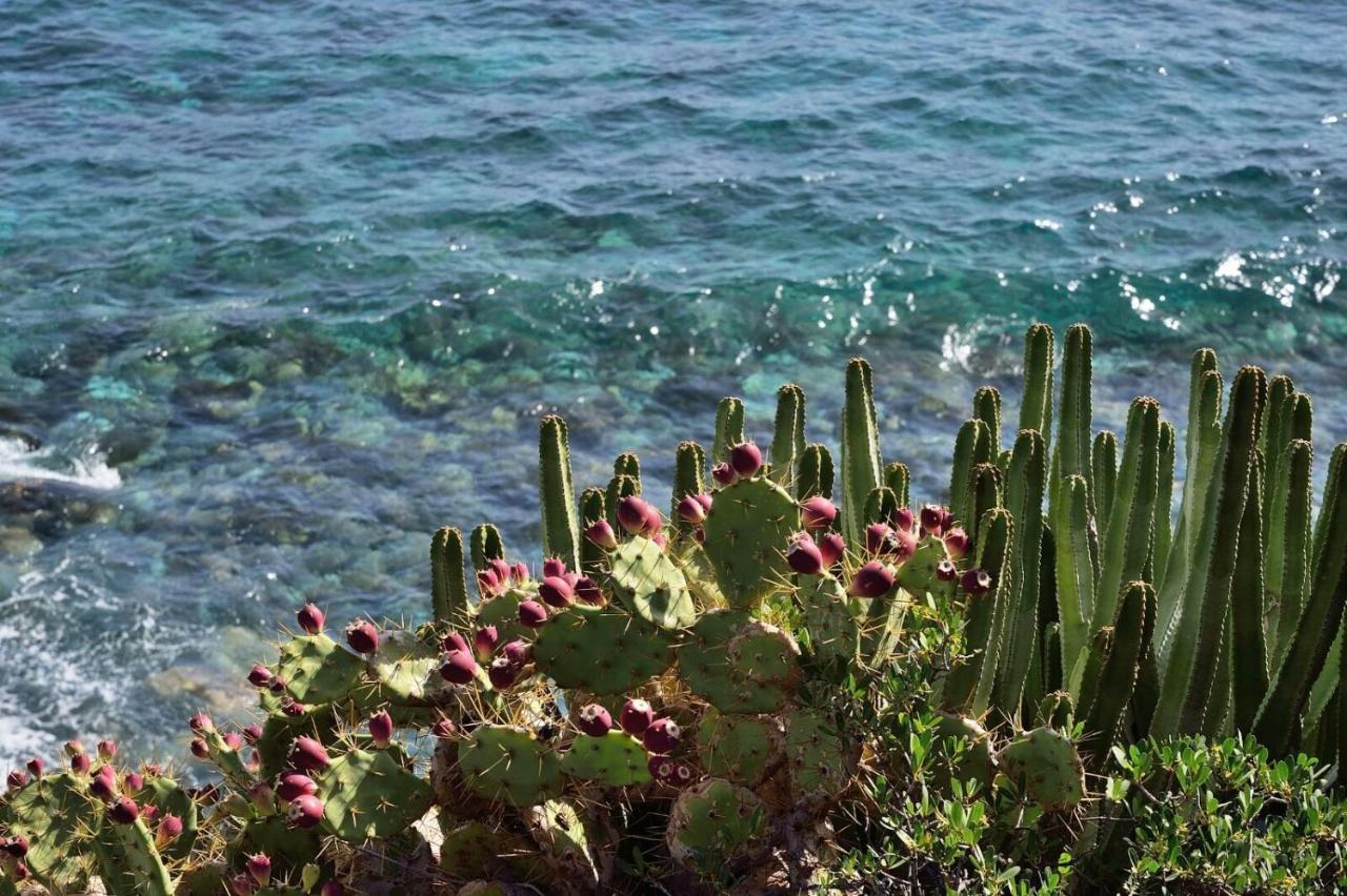 Aparthotel El Cerrito Playa Cancajos.- BreNa Baja  Eksteriør billede